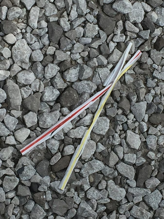 Calling all Pelhamites: banning plastic straws