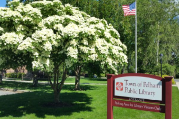 Pelham Public Library events for July and August