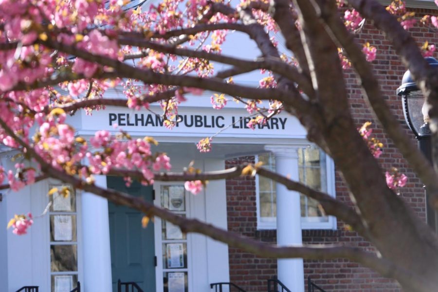 Pelham Public Library (file photo)