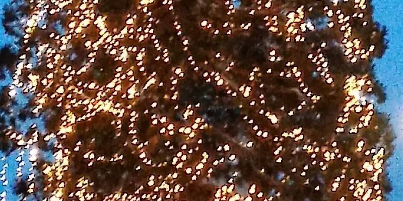 Town of Pelham tree lights up Dec. 1; Santa arrives at gazebo at 4 p.m.