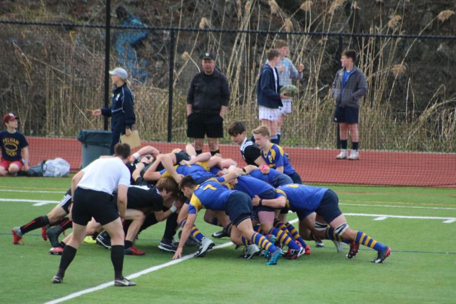 Foto Feature: Varsity rugby defeats rivals Rye