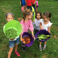 Registration continues for Bartow-Pell Discovery Camp