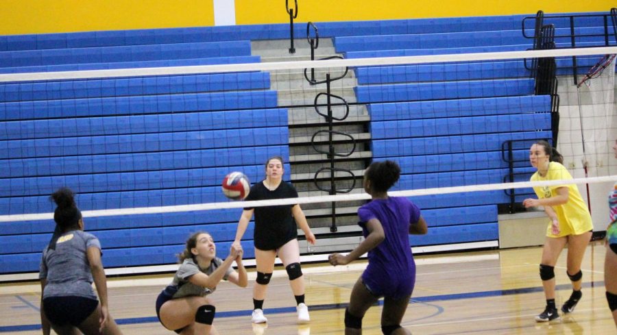 Pelham girls volleyball clinches league title with win against Harrison