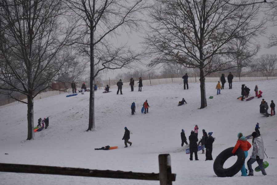 Foto Feature: Sledding fun by Rockledge