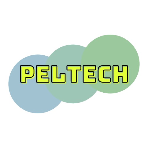 Start-up PelTech offers computer programming classes for kids