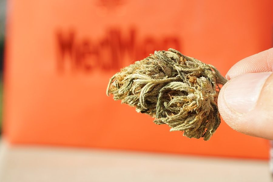 Cannabis flower, sativa strain.
