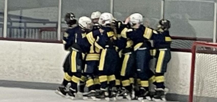 Pelham's PeeWee Blue hockey team wins Diamond Div. of Eastern Junior Elite Prospects League