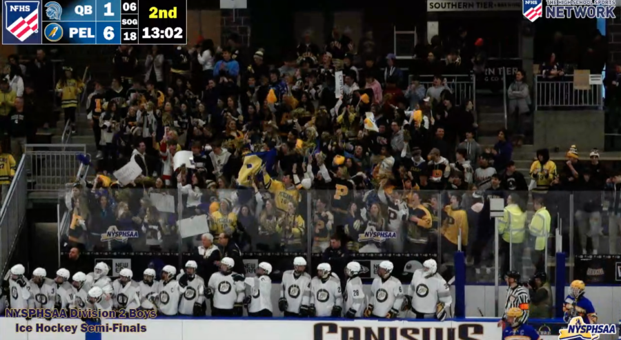 PMHS ice hockey beats Queensbury 7-1 in semis to book trip to state championship final