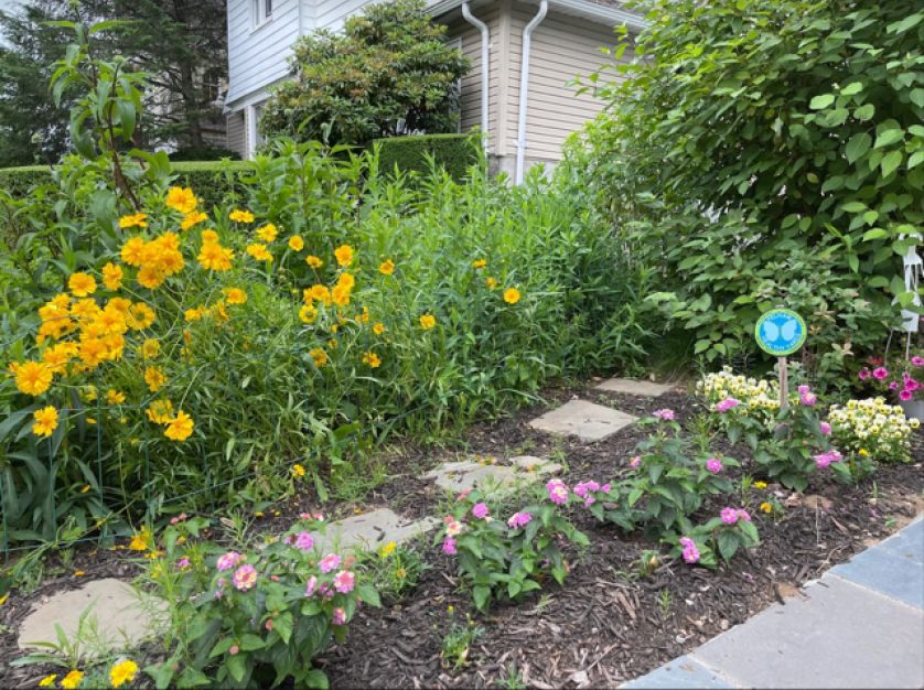 Sound Shore Pollinator Garden Tour opened for viewing yards that dont use pesticides, herbicides