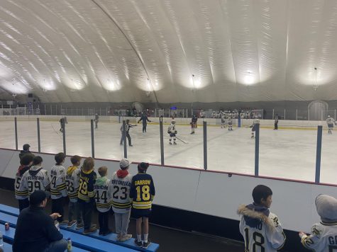 PMHS boys hockey falls in 6-4 home opener against Rivertown