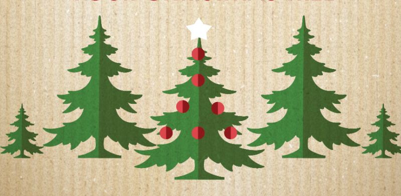 Pelham Manor: Place Christmas trees at curb on organic waste-collection day