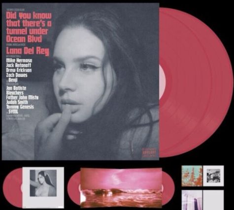 Lana Del Rey takes on idea of eternal in new single Did you know that theres a tunnel under Ocean Blvd