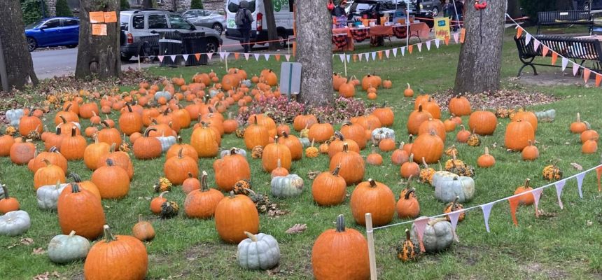 Foto Feature: Pelham Childrens Center brings family fun of Pumpkin Fest to downtown