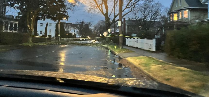 Pelham streets and high school common area flooded by noreaster; at least two trees downed by big coastal storm