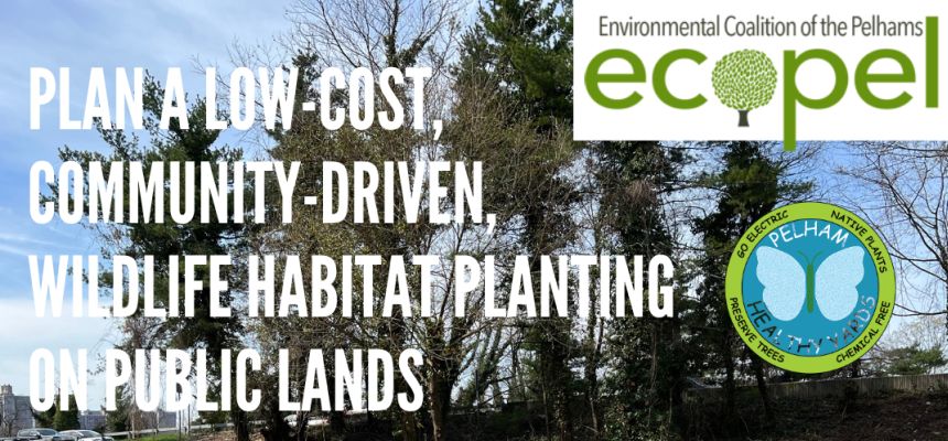EcoPel to give workshop on community-driven wildlife habitat planting on Jan. 18