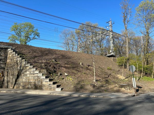 Residents challenge MTA after workers remove trees on First Street near Cliff Avenue