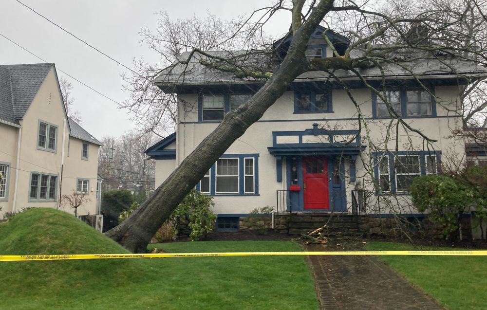 Heavy wind and rain causes power outages, downed tree; county issues warning on storm