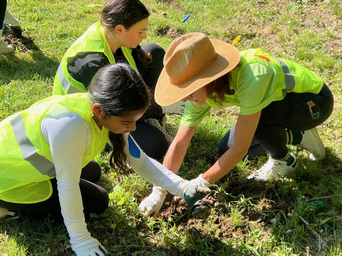 Foto Feature: Pelham Manor PBA leads effort with Girl Scouts, other groups to clean up area near Hutchinson Parkway