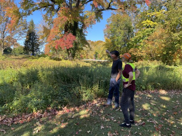 Anna Simonsen-Meehan of the Pelham Vine Squad and Benny Bulfamante, Mario Bulfamante and Sons Landscaping, assess right of way at Colonial Avenue and Wolfs Lane.