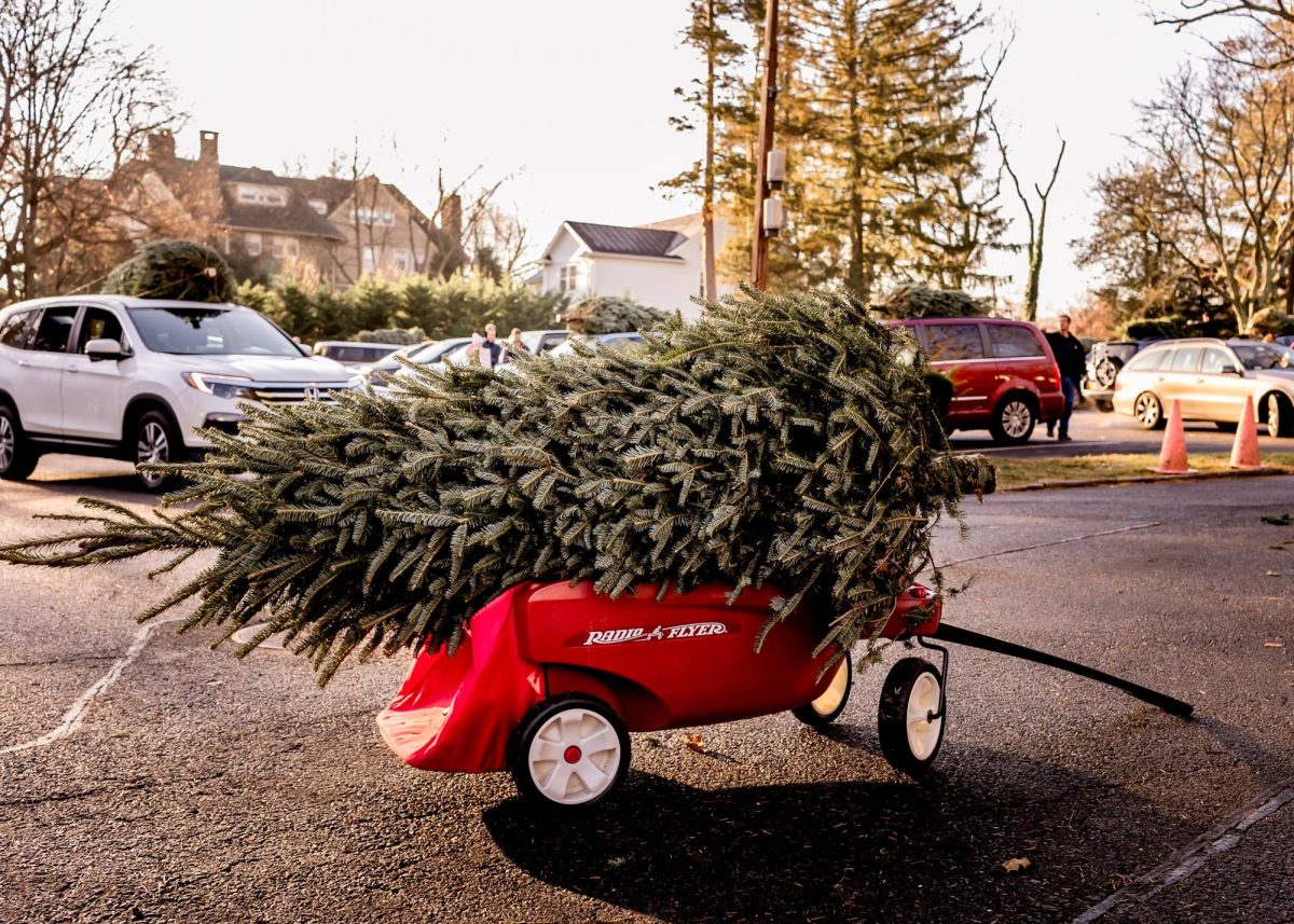 Save the date: Huguenot Memorial's benefit Christmas tree sale will be Dec. 7