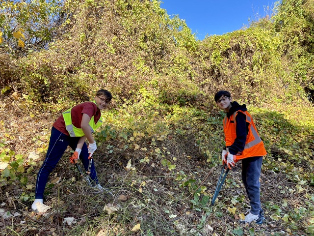 Foto Feature: EcoPel's Pelham Vine Squad gets to work battling invasive plants