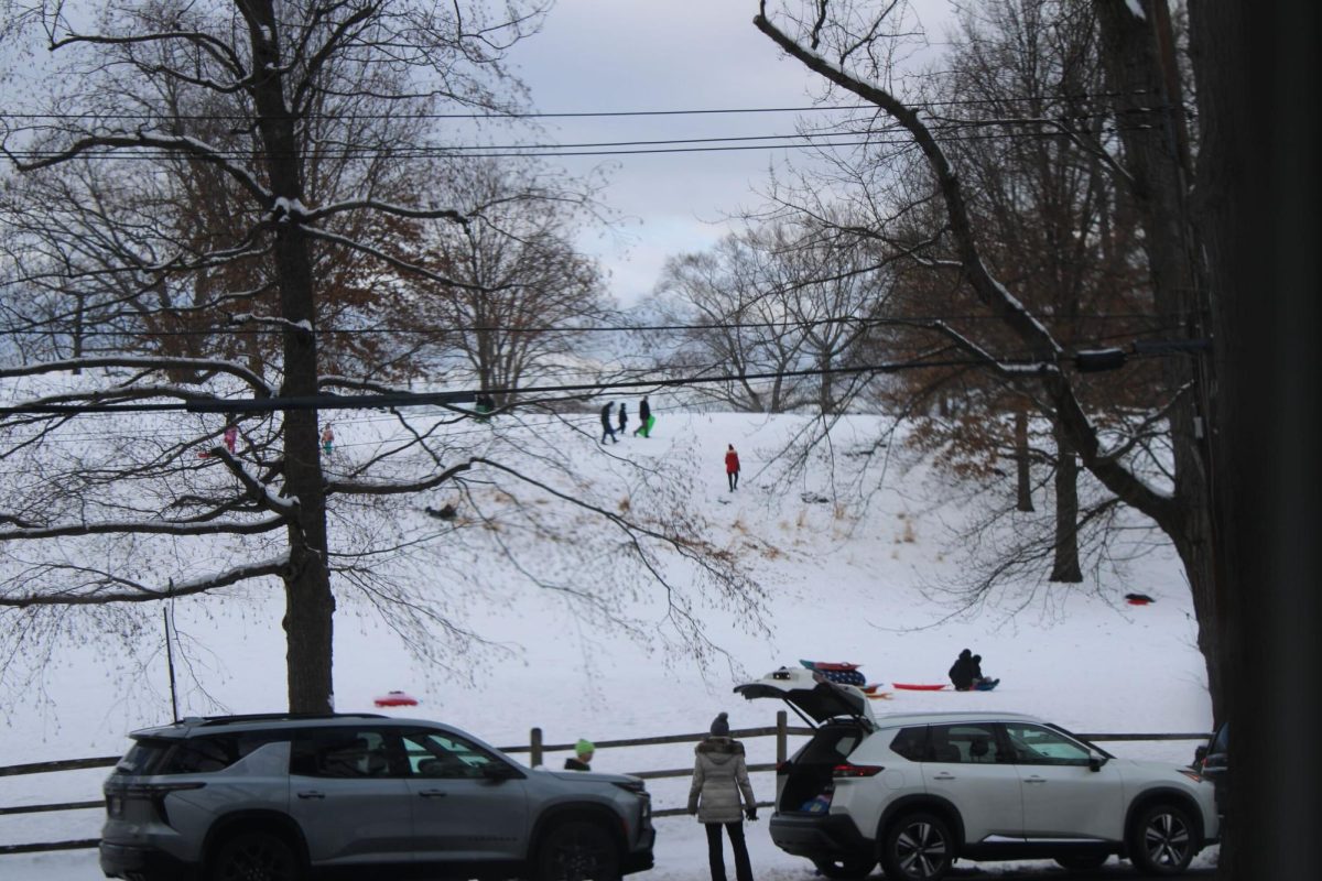 Foto Feature: Snowy weather brings families to Mount Tom for sledding and sliding