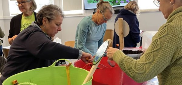 EcoPel and Pelham Library hold activities to sow winter seeds and clear invasive vines