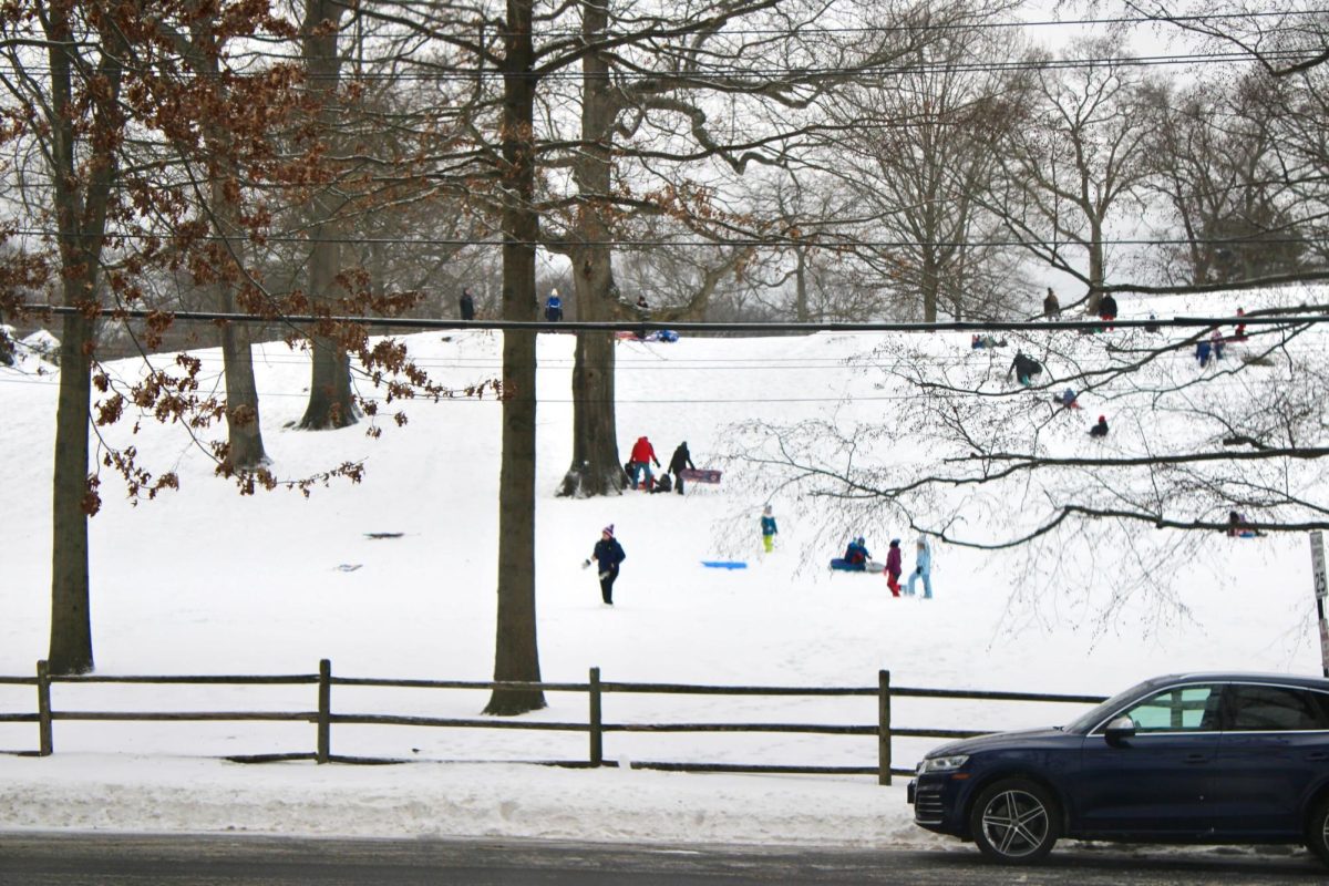 Foto Feature: Blizzard turns Pelham into winter playland