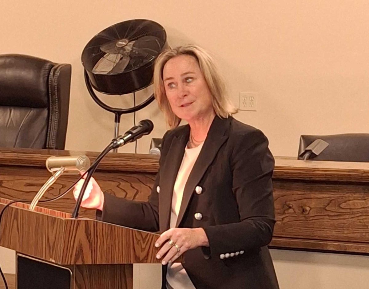 Town Supervisor Theresa Mohan