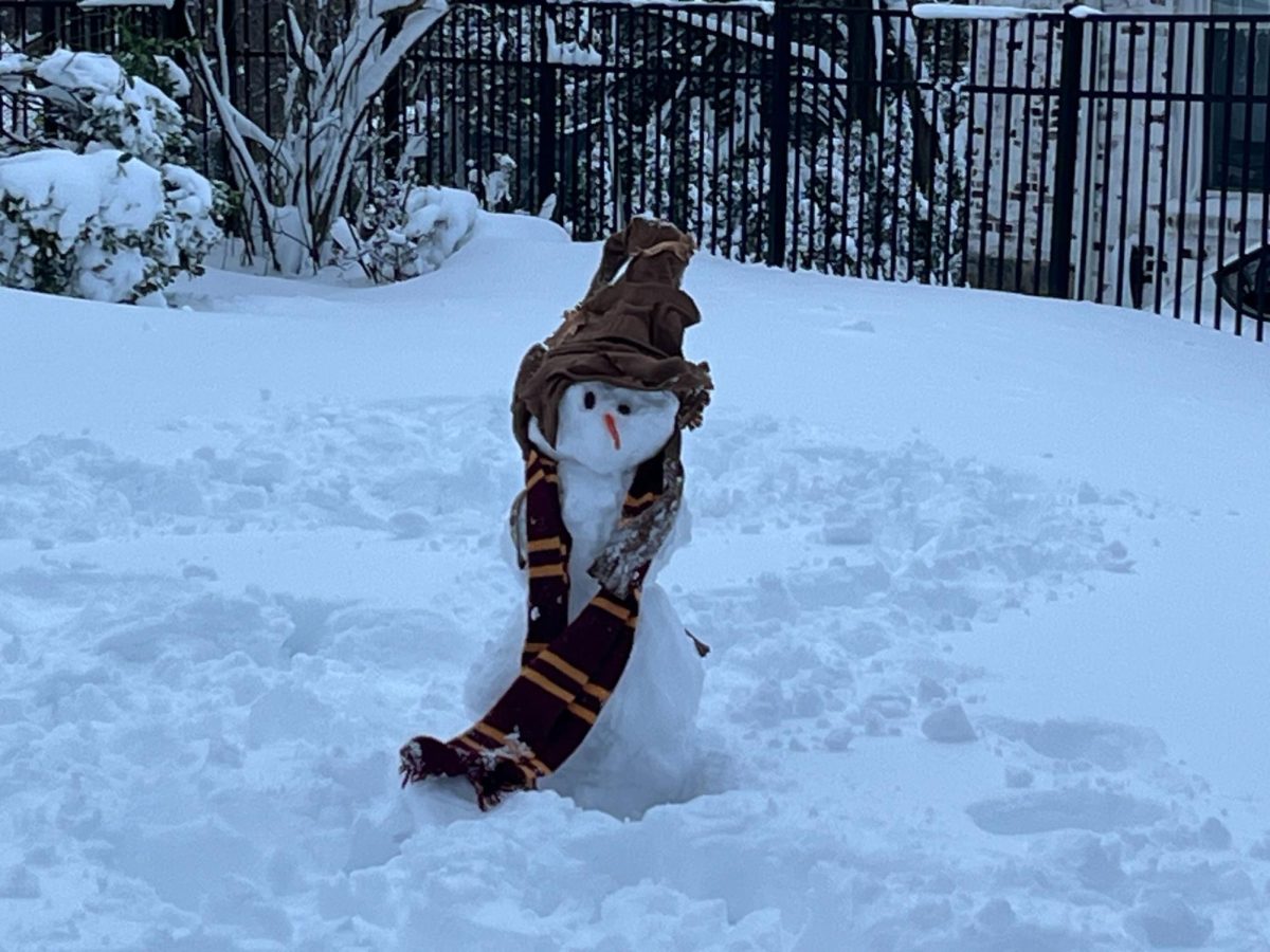 Foto Feature: Pelham takes on blizzard through Monday, schools now closed Tuesday