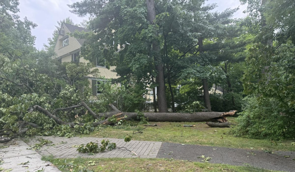 Wild weather wreaks havoc in Pelham over July 4th weekend; forecast of heavy rain brings flood warning from National Weather Service